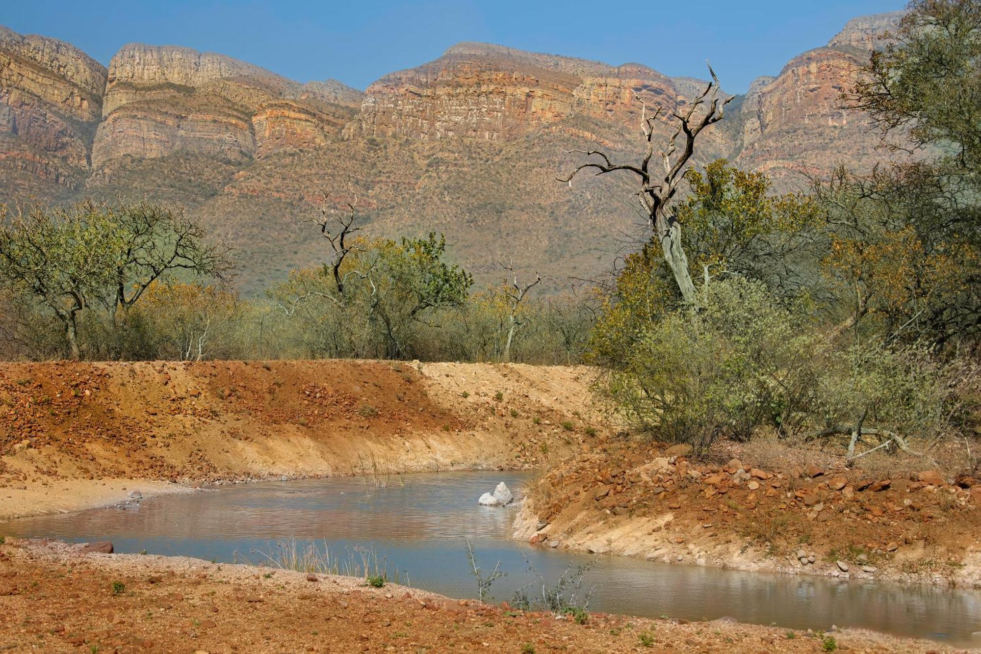 African Dream Tour Hoedspruit Exteriér fotografie